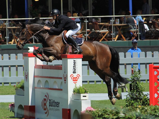 他的防守能 他的防守能