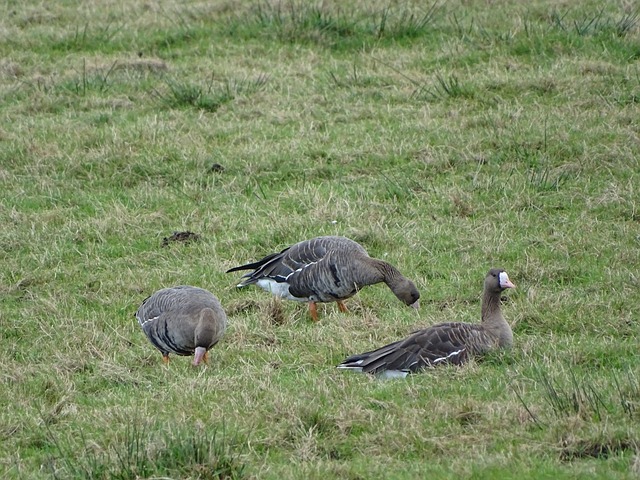 值得关注 值得关注
