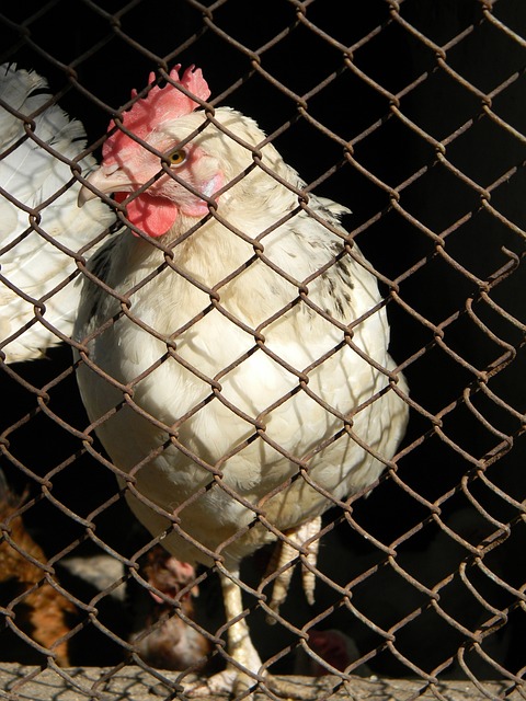 慧成功之路 慧成功之路