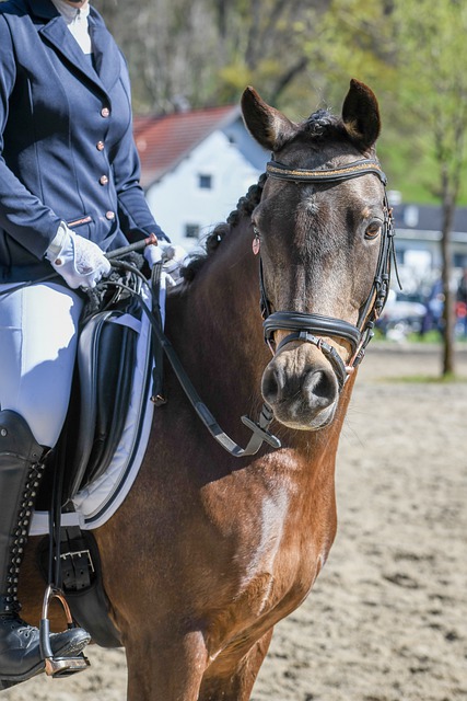 快船132-100篮网2连胜，评分：哈登满分、莱昂纳德满分 鲍威尔6分.