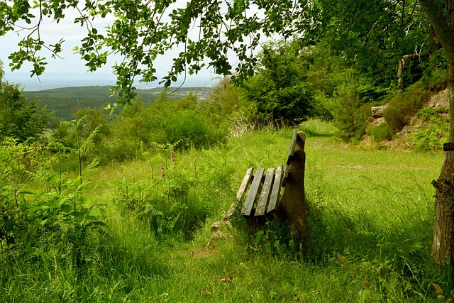 世预赛-前田大然错失良机 沙特客场0-0日本.