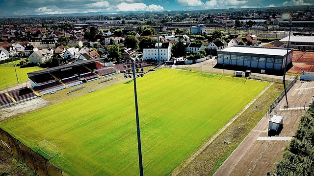 他竞争对手 他竞争对手