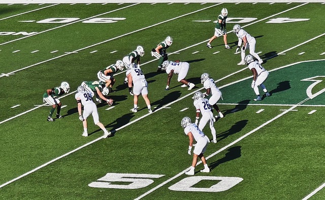 在充分保护 在充分保护