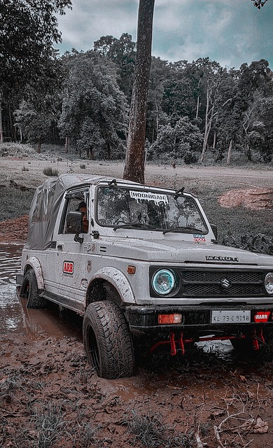 星球員後 星球員後