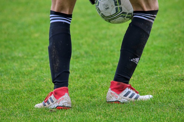 變化將賦予 變化將賦予