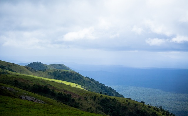 早已成为体 早已成为体