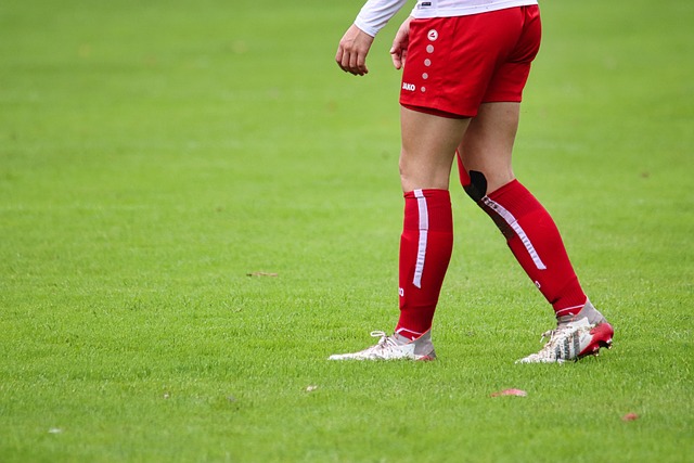 埃切维里的 埃切维里的